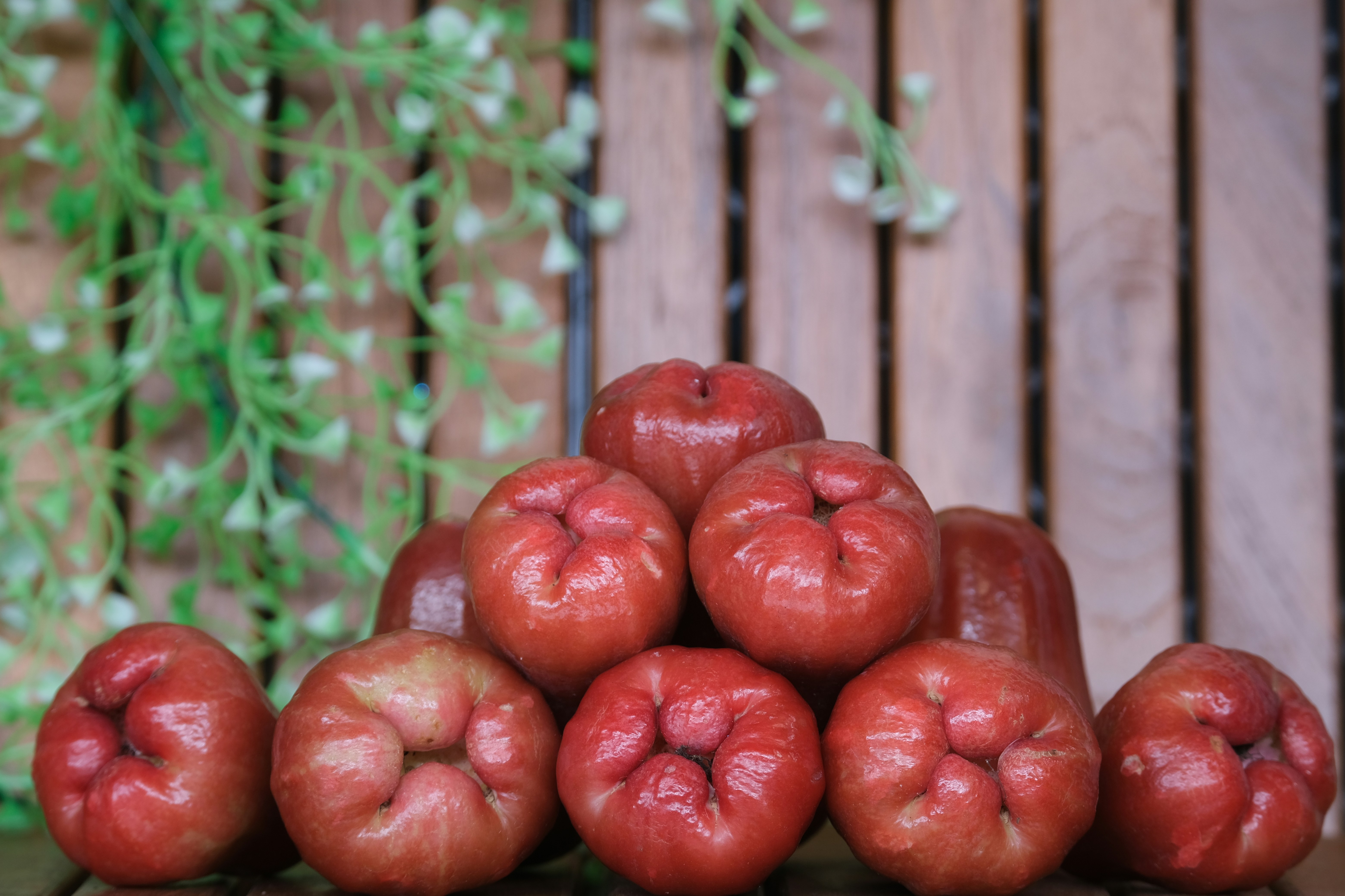Jambu (Jambu Air)
