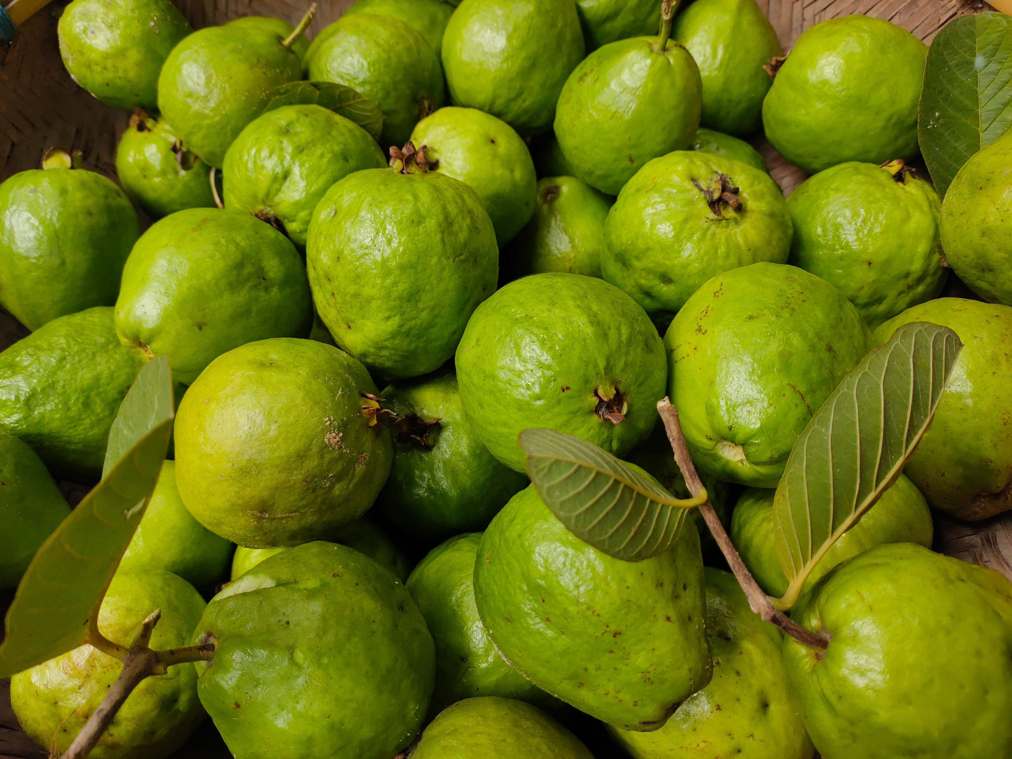 Jambu Biji